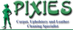 Pixies-Cleaning